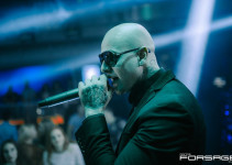 Pitbull live cover show (Germany)